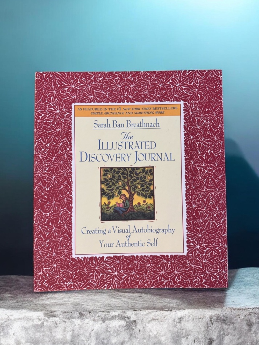 The Illustrated Discovery Journal by Sarah Ban Breathnach